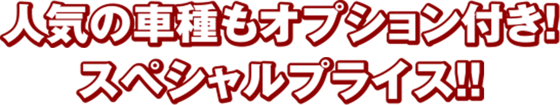 人気の車種もオプション付き!スペシャルプライス!!